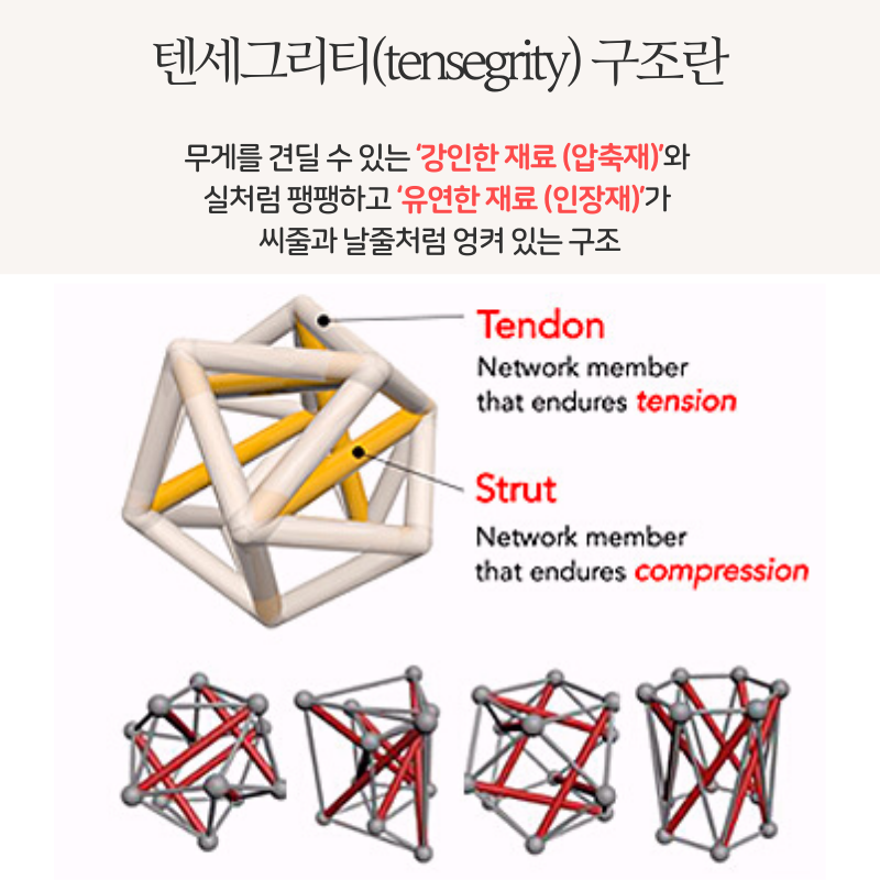 20210312_tensegrity1.png