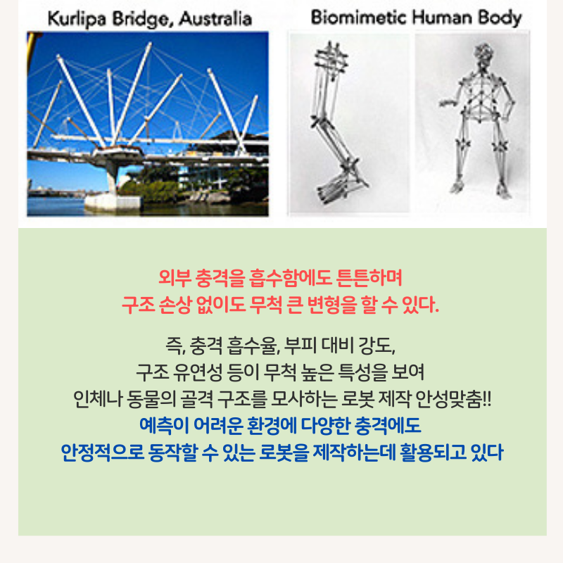20210312_tensegrity3.png